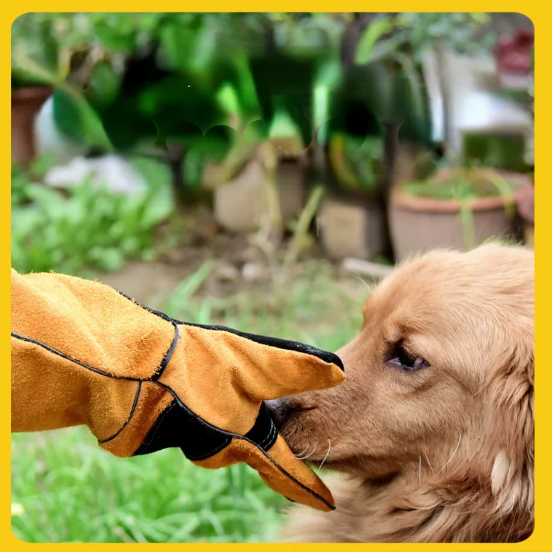 Pet Gloves Cowhide Leather Ant - Leatherwork Training ulasan dan harga