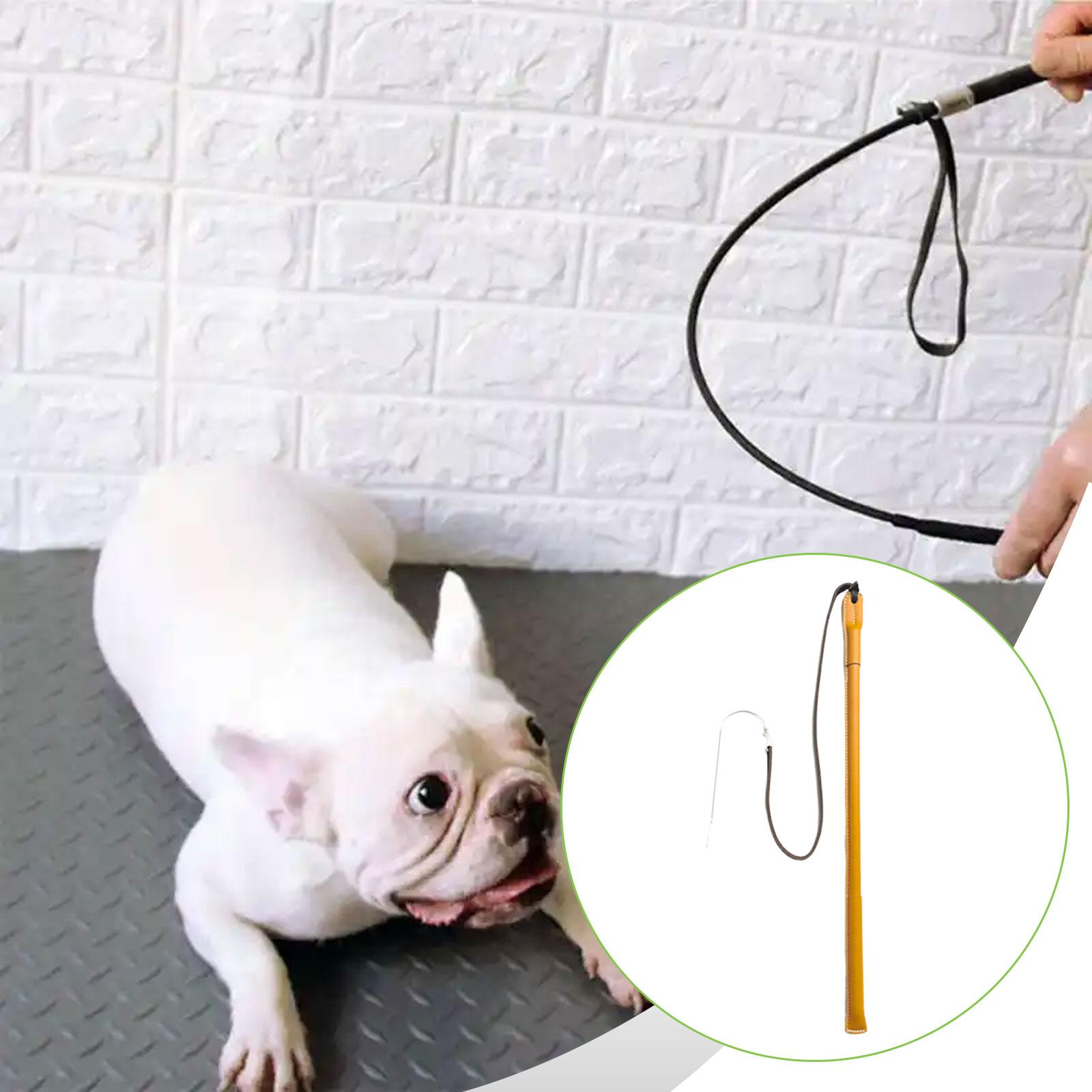Wear Resistant PU Leather Dog  - Leatherwork Training ulasan dan harga