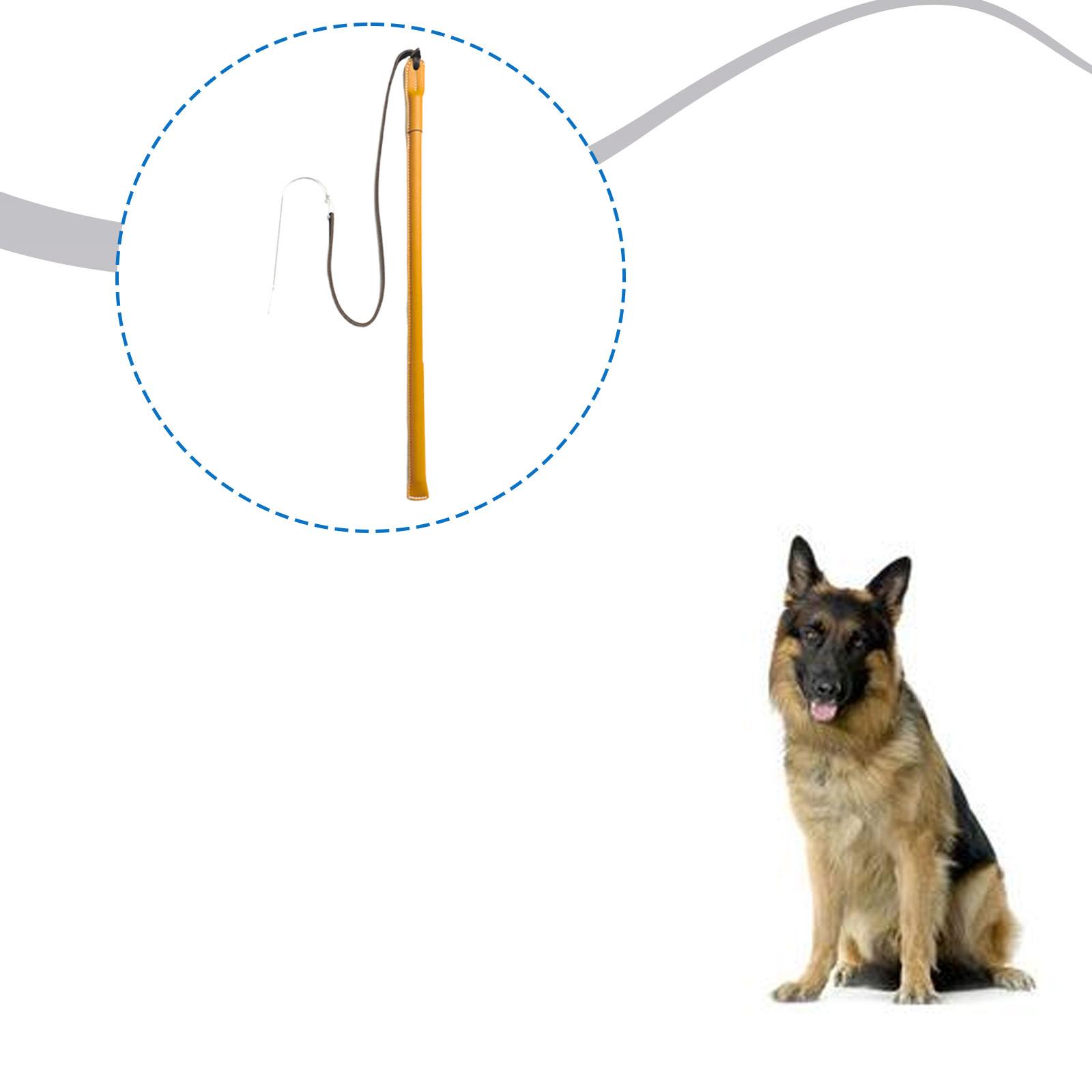 Wear Resistant PU Leather Dog  - Leatherwork Training ulasan dan harga