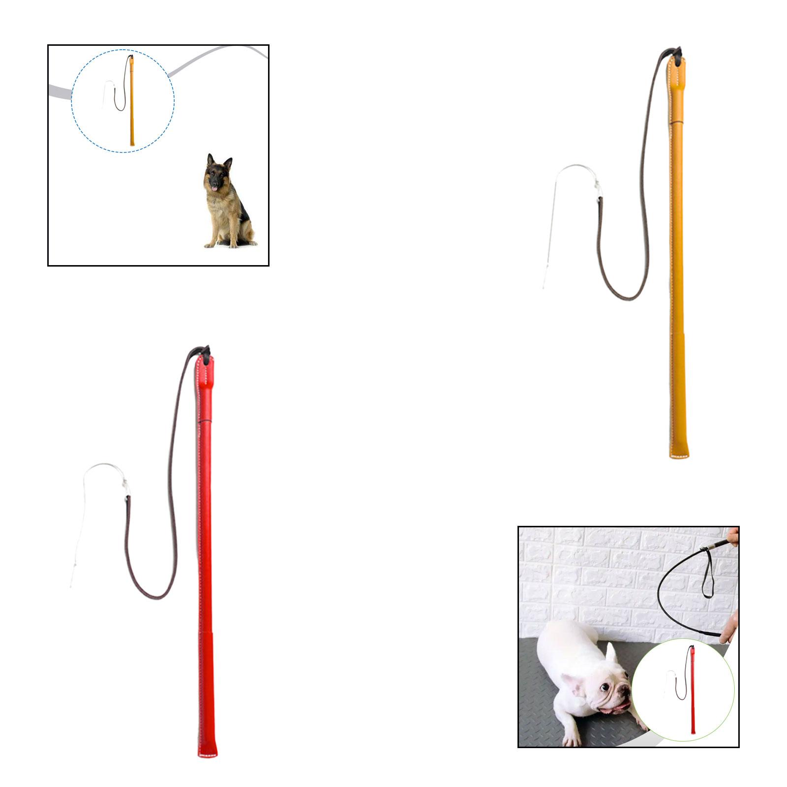 Wear Resistant PU Leather Dog  - Leatherwork Training ulasan dan harga